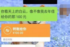 雄安新区要账公司更多成功案例详情